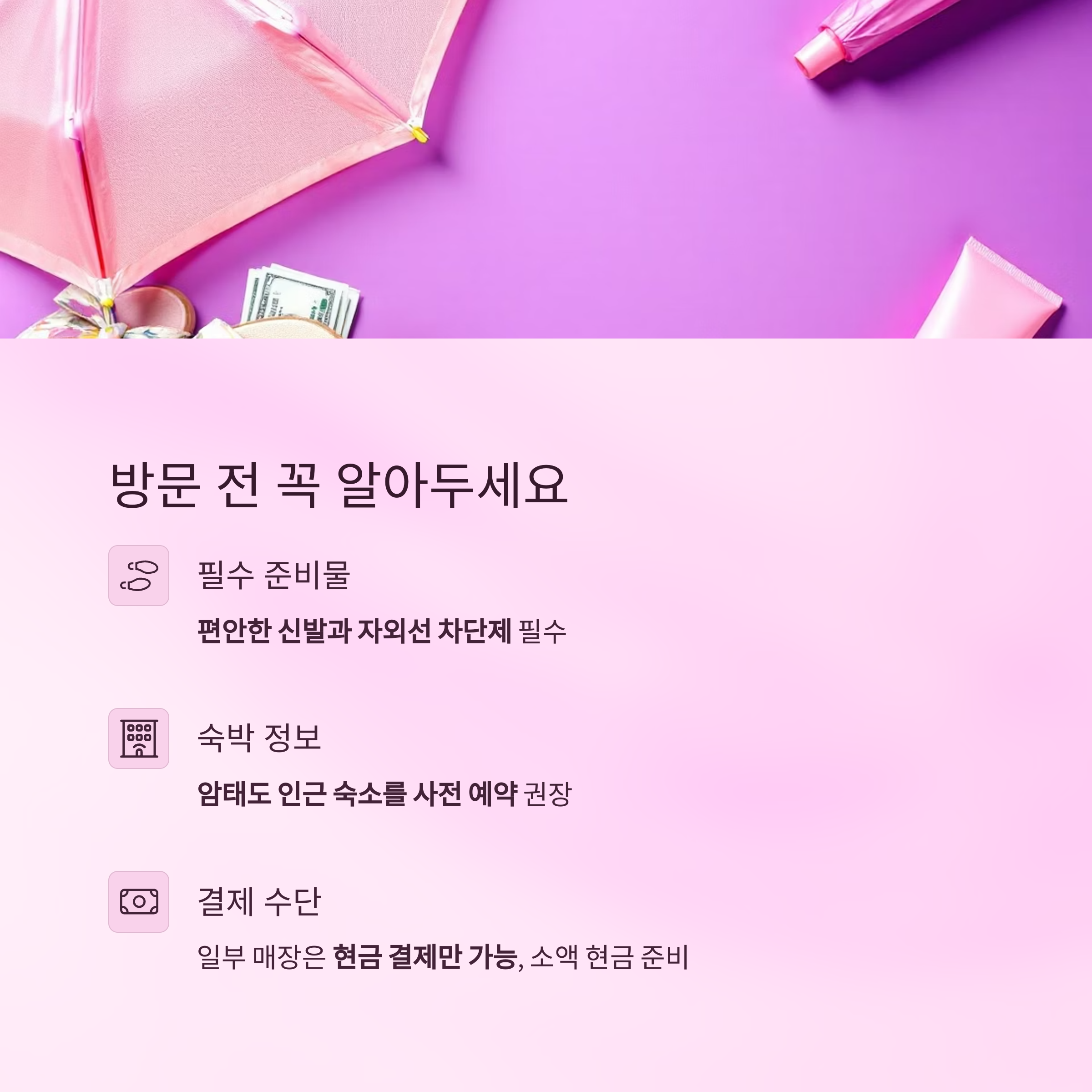 2025 퍼플섬 라벤더 축제, 보랏빛 향기로 물드는 섬 여행