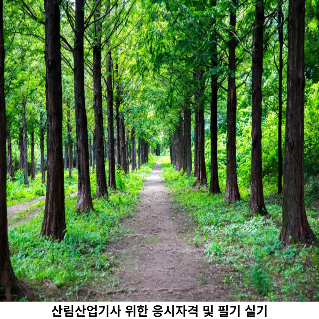 산림산업기사 실기 시험