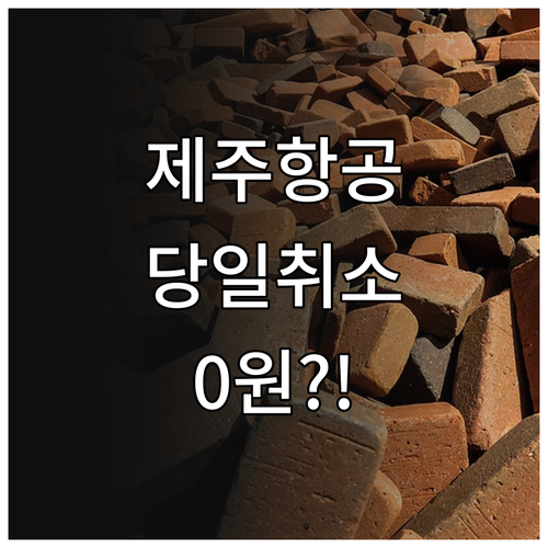 제주항공 구매 당일 취소 무료 조건 ..