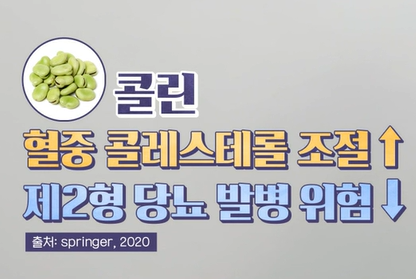 자이언트 파바빈