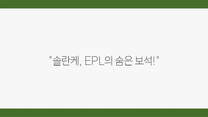 도미닉 솔란케 선수 정보 분석: EPL 신성의 경기 스타일과 성장 가능성