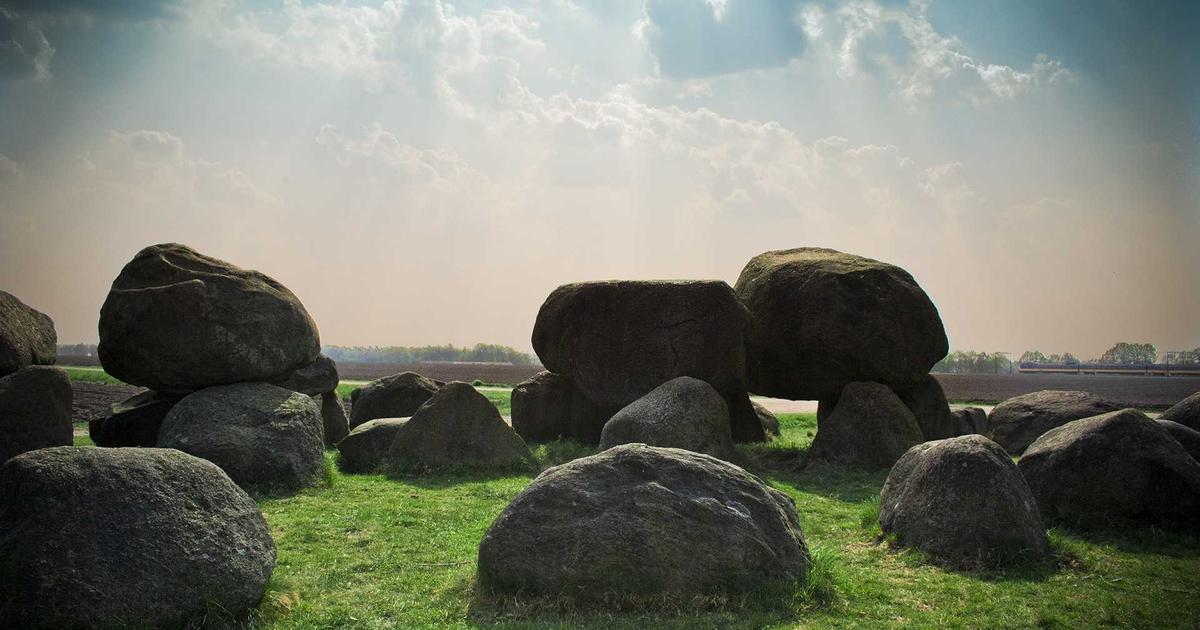 person excitedly building app on laptop screen using visual drag-and-drop interface, vibrant colors, modern office, no-code development