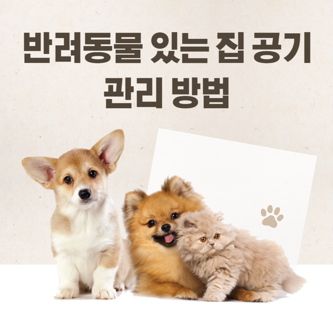 반려 동물 있는 집 공기 관리 하는 방법