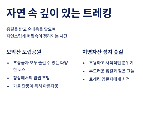 전주 근교 트레킹과 달리기, 산책까지 가능한 완벽한 힐링 코스 총정리