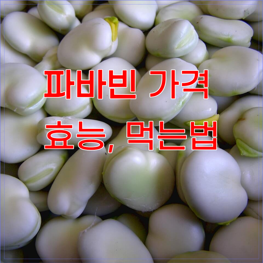 파바빈이란 무엇이고 효능, 가격, 먹는법에 대해 알아본다.