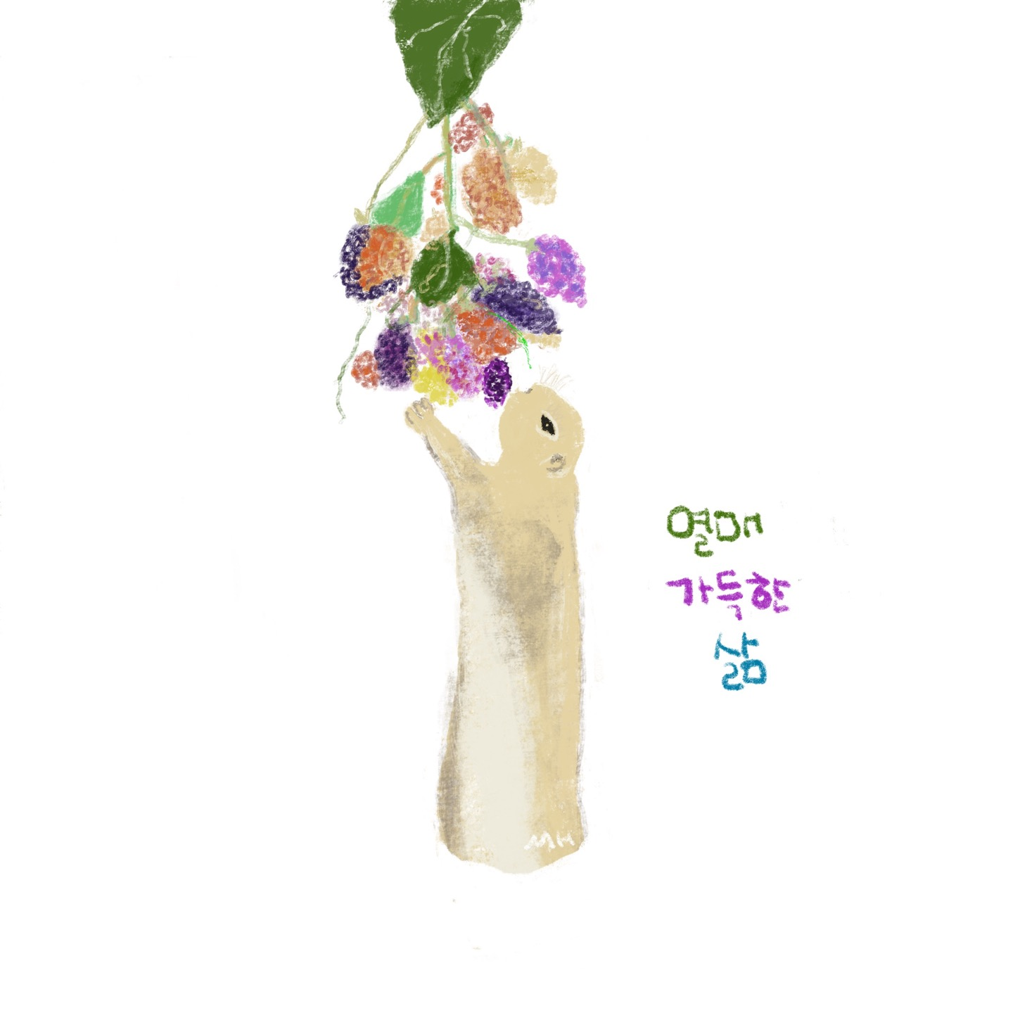 미어켓이 머루를 따먹는 모습