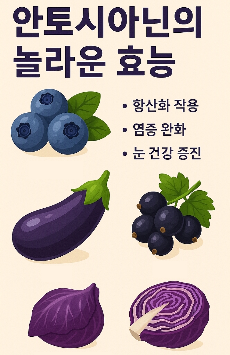 안토시아닌의 놀라운 효능