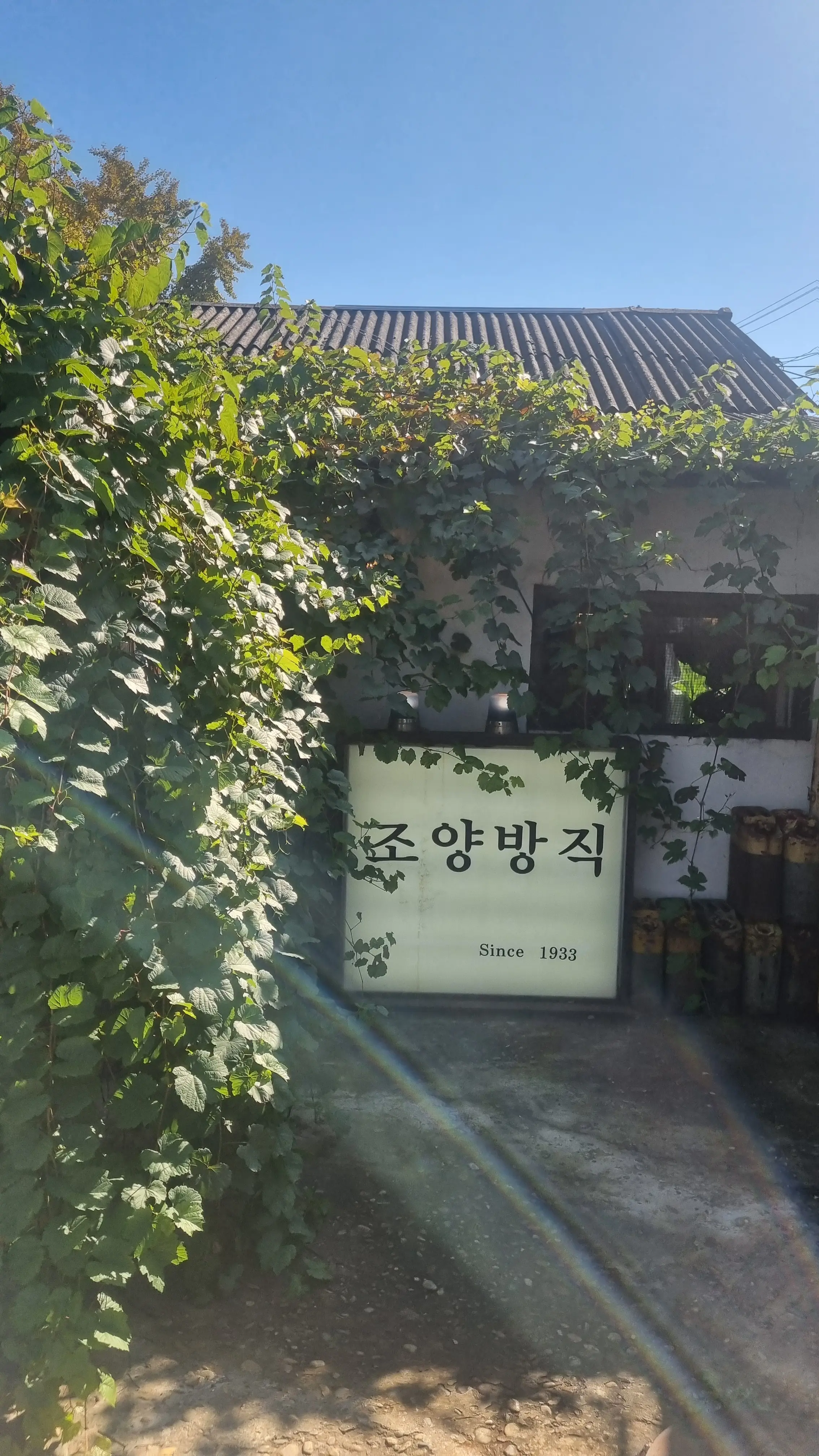 단풍이 시작된 강화 전등사, 레트로 까페 조양방직, 주차장, 메뉴 , 강화도 여행