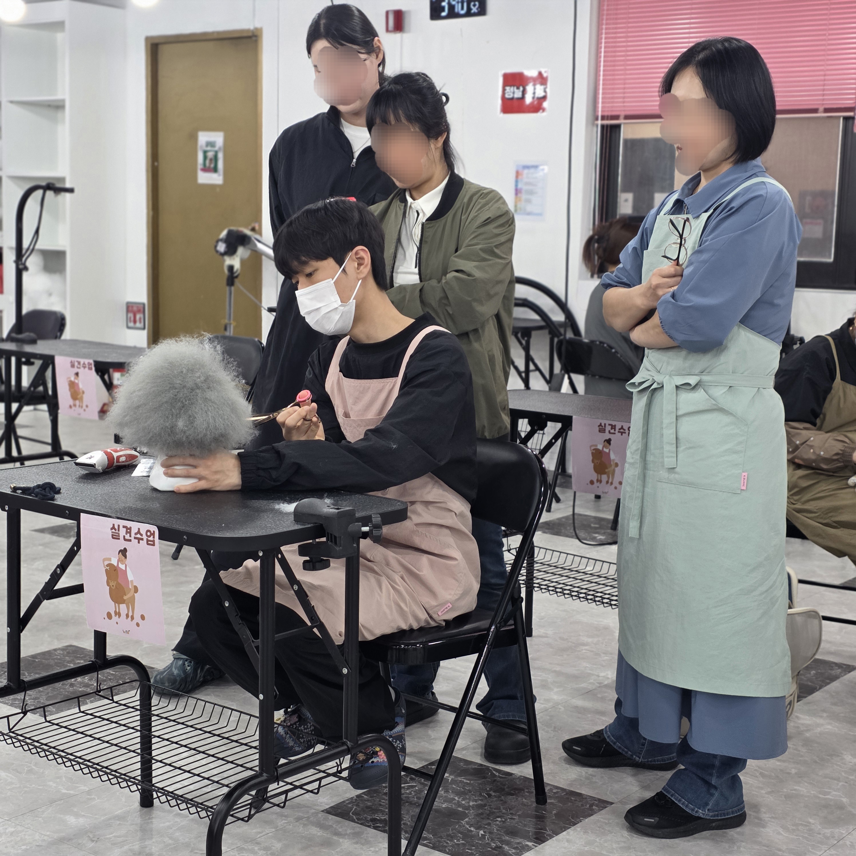 거제애견미용학원