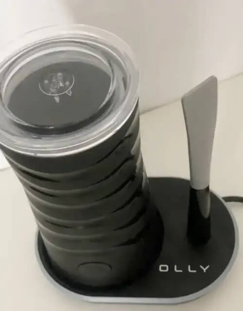 블랙 올리 사진