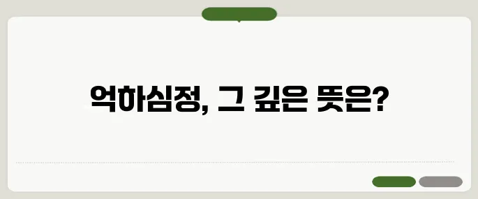 억하심정 뜻과 예시 마음속 깊은 원망을 표현할 때
