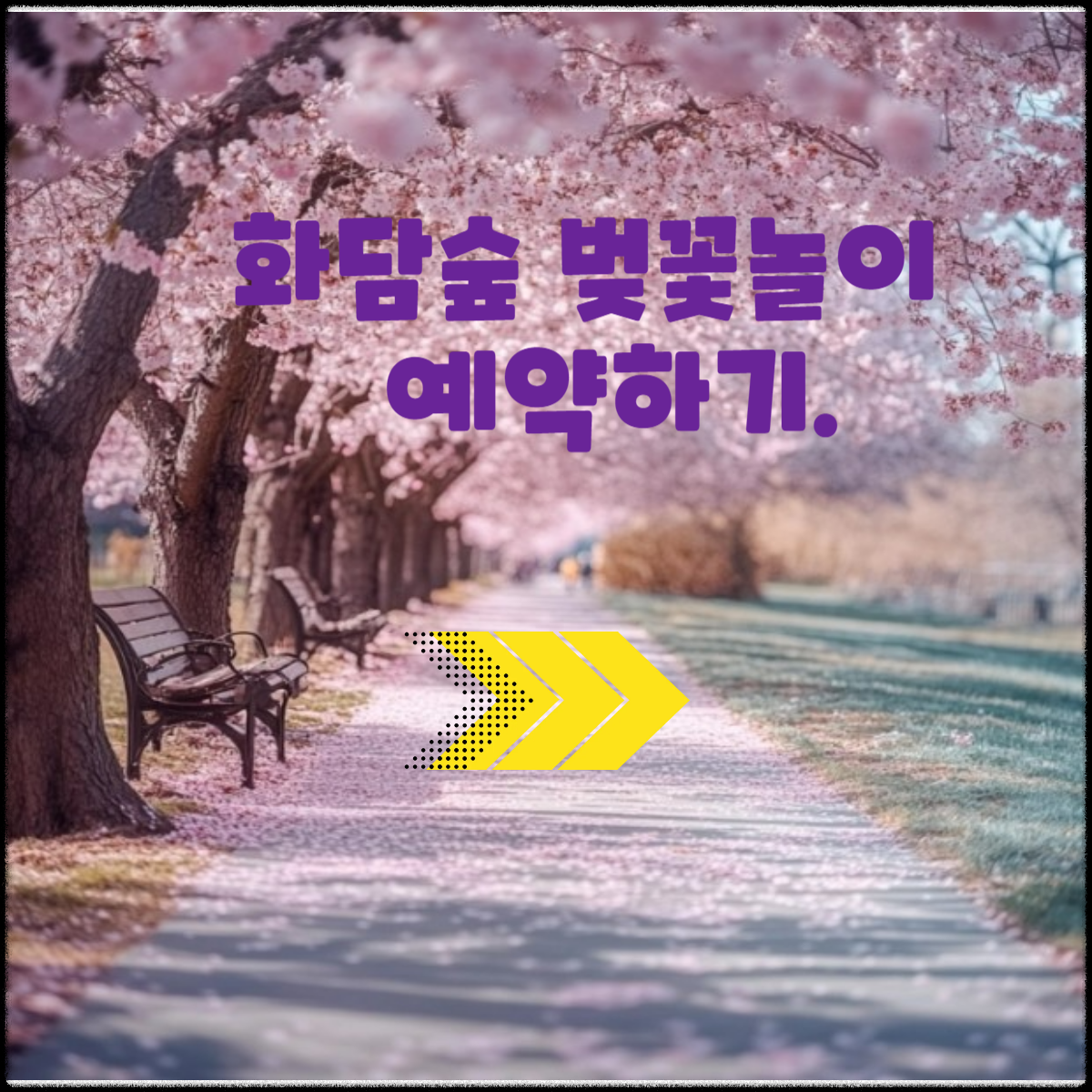 화담숲 데이트 - 벚꽃 아래서 힐링 여행!