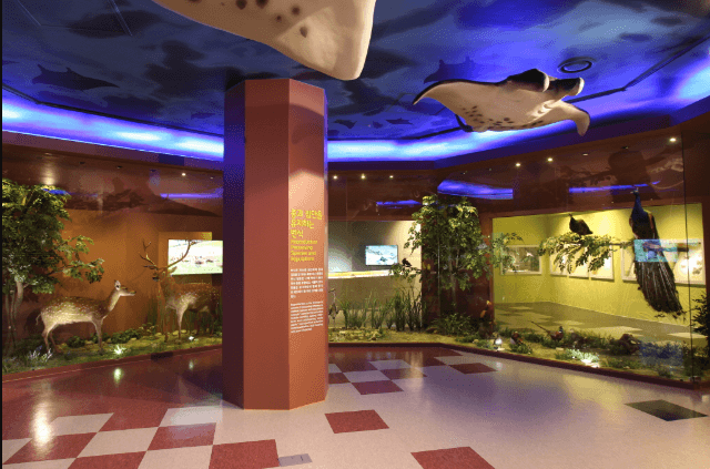 강화도-자연사박물관