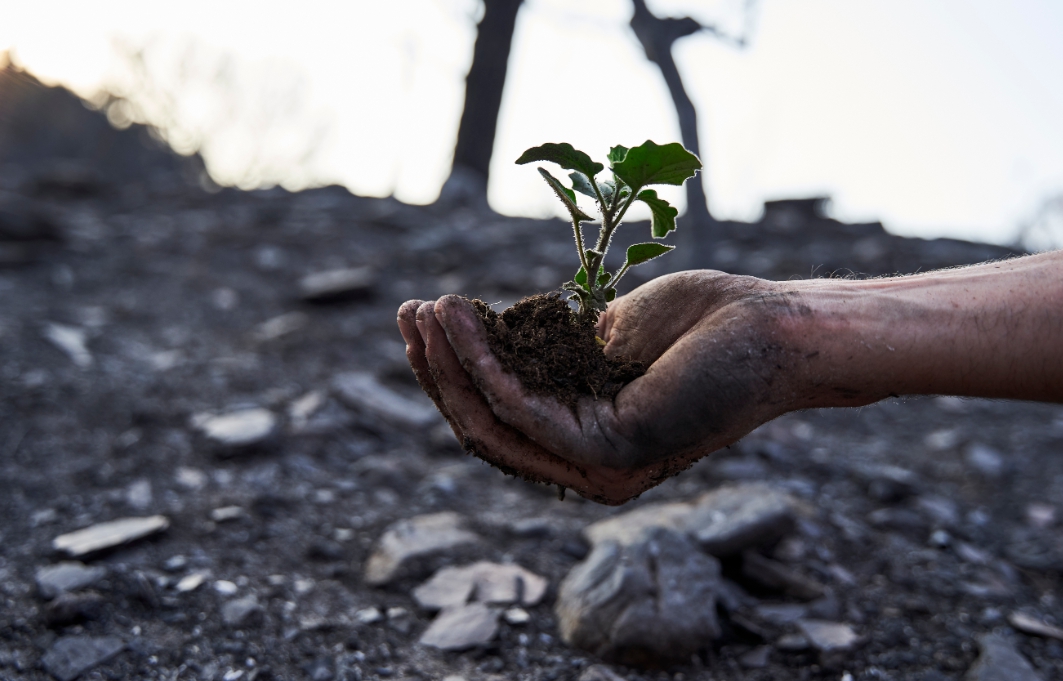경북 산불 피해 기부 방법