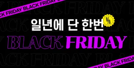 블랙프라이데이 기간