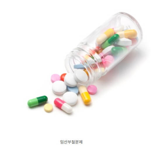 임산부 영양제 지원받는 법 (철분제&amp;#44;엽산제) 보건소이용팁