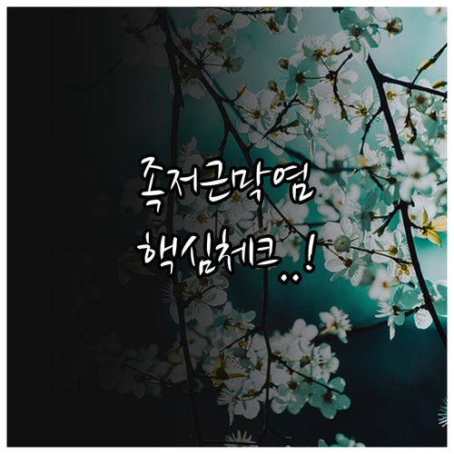 논산시 족저근막염 병원 선택 체크리스..