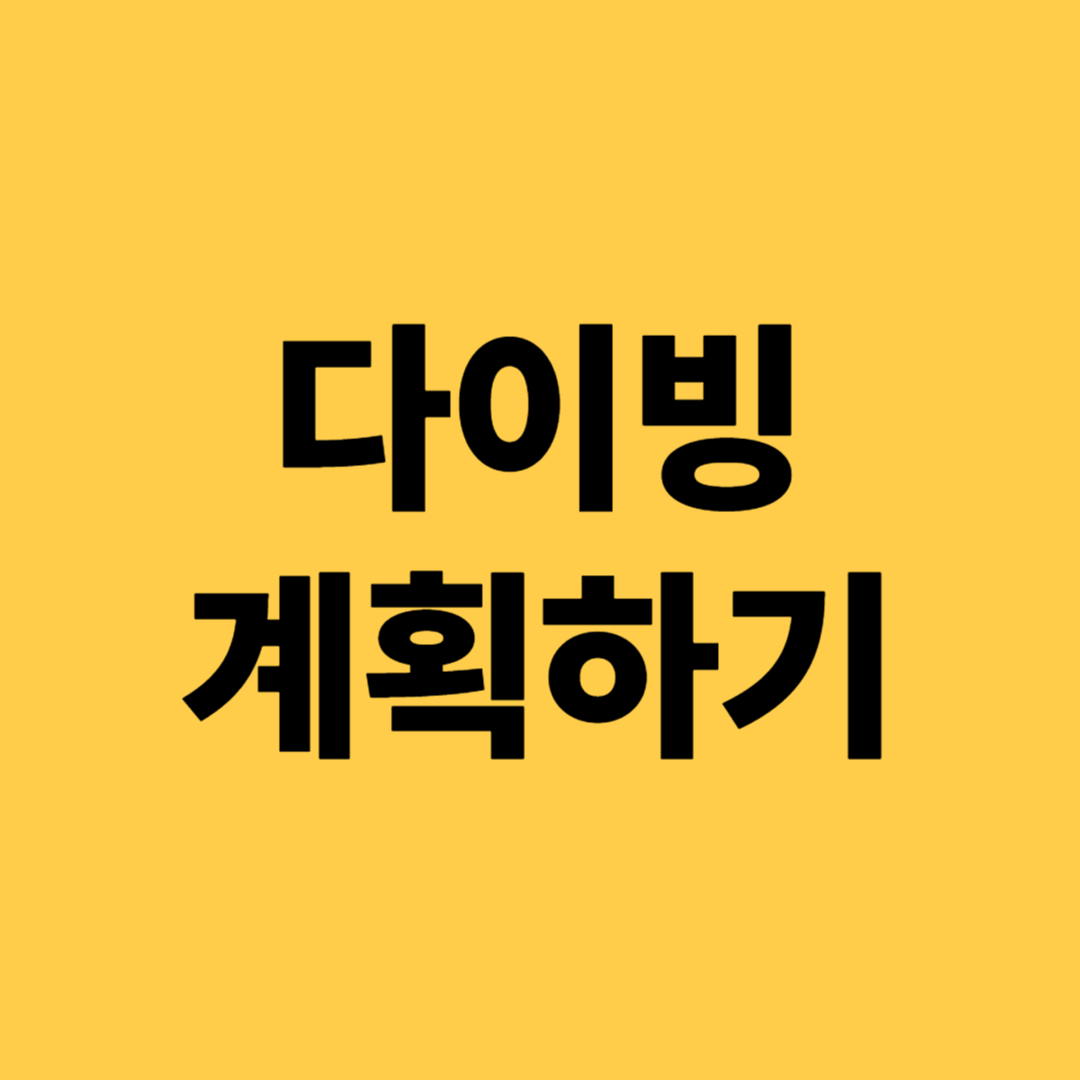 다이빙 계획하기