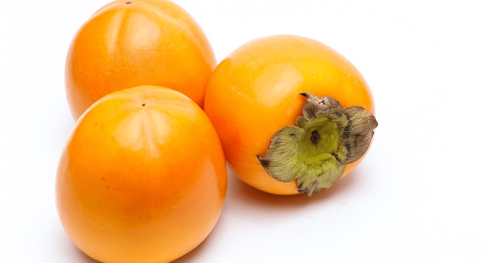 감 효능에 관련된 감 사진 - 11