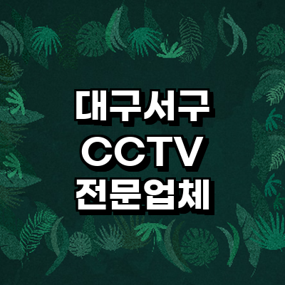 대구 서구 cctv