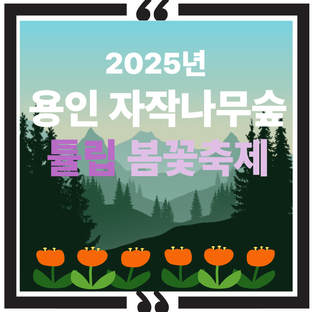 2025 용인 자작나무숲 튤립 봄꽃축제 썸네일 이미지