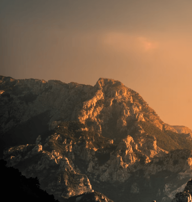 실손보험 청구 전산화