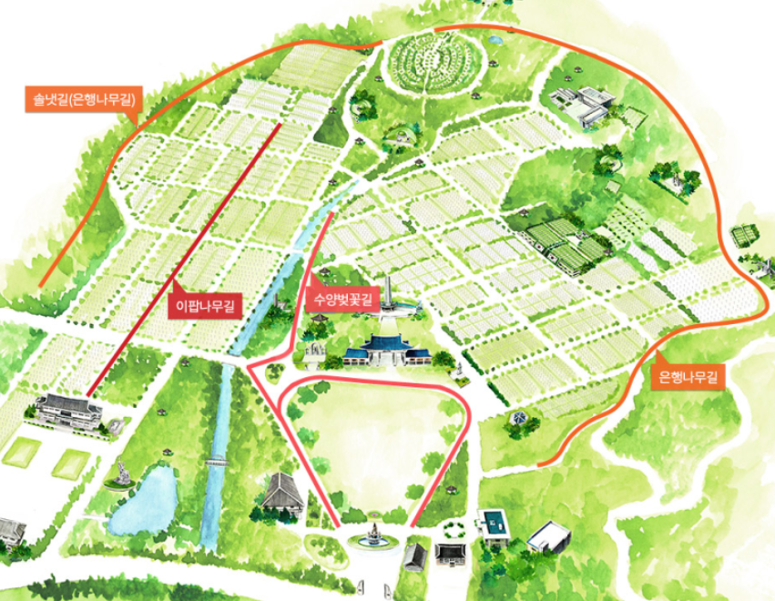 국립현충원-벚꽃코스