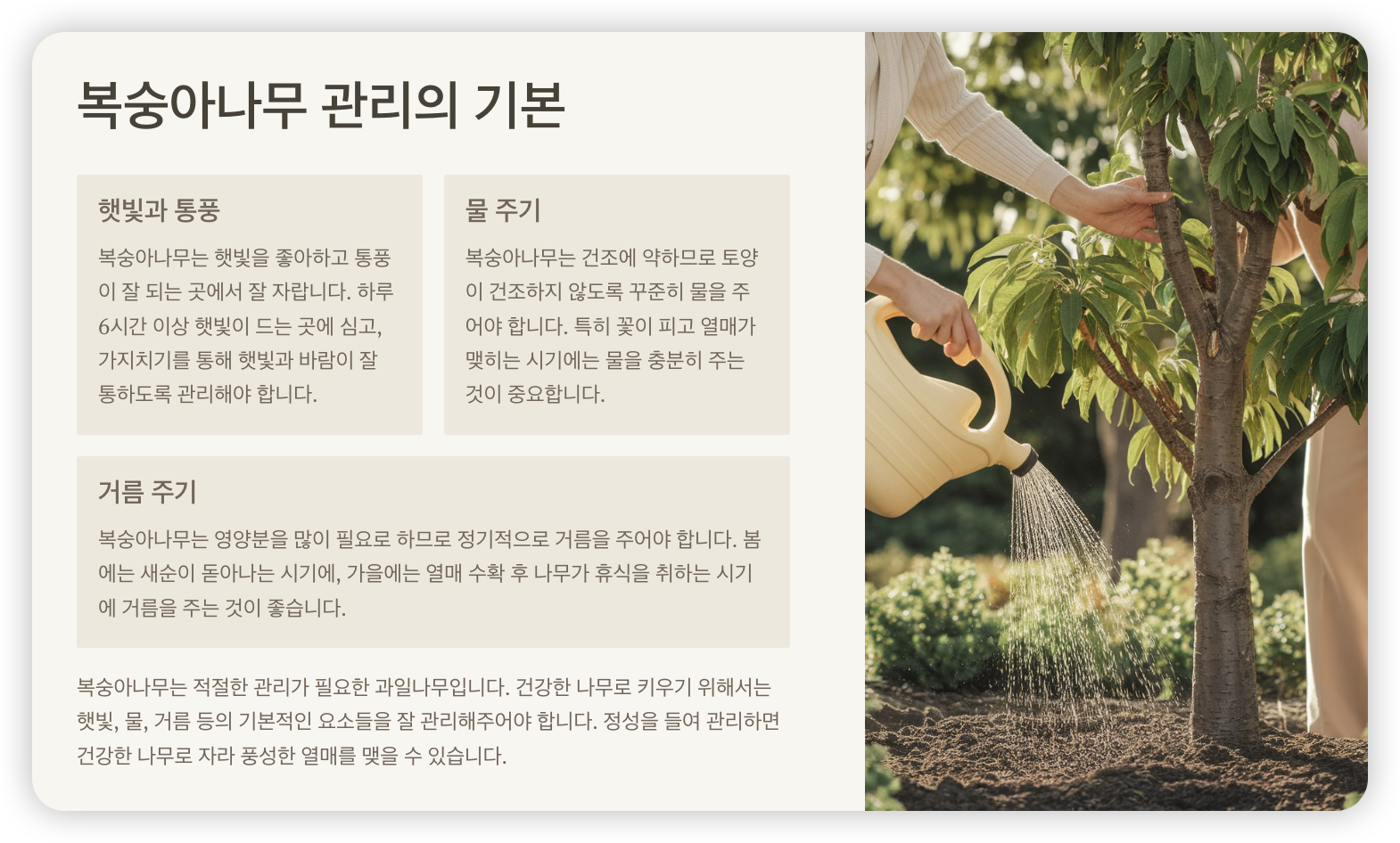 복숭아나무-관리