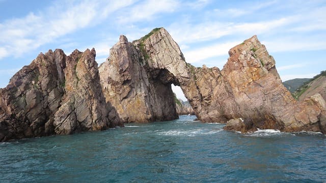 임시공휴일 지정