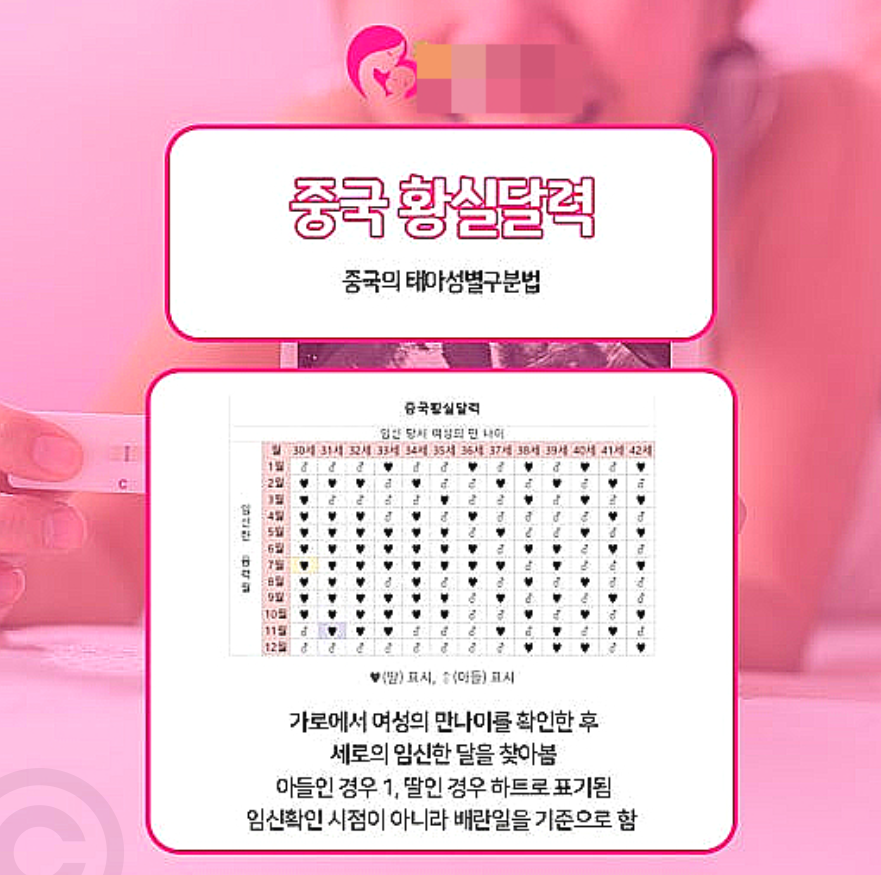태아 성별 확인 사이트 활용한 중국황실달력 아들 딸 예측 및 임신 초기 확인 후기