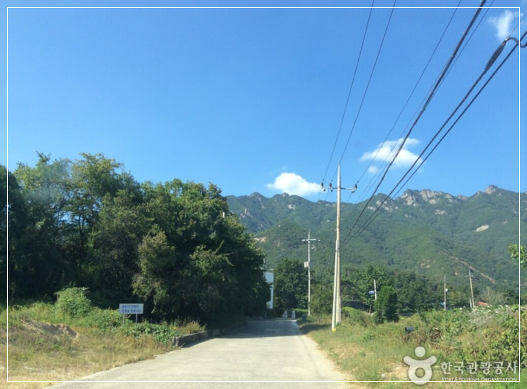 보은 가볼만한곳 베스트10 구병산자연휴양림