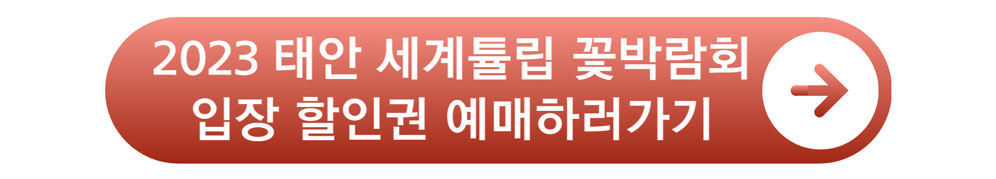 태안 튤립 축제