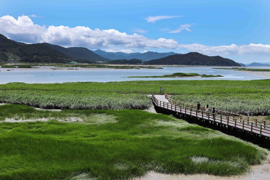 대한민국 반값 여행