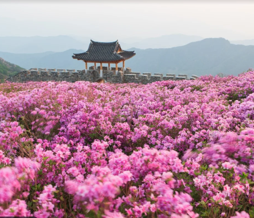 5월꽃구경 가볼만한 곳