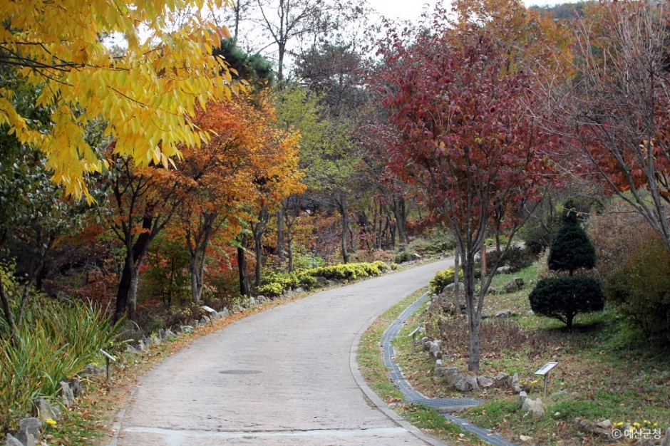 예산 가볼만한곳 베스트10