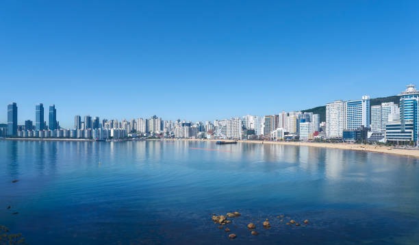 부산 광안리 해수욕장 개장 및 편의시설 정보