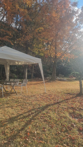 안동 뒤뜰카페 돈까스 맛집 임동 임하댐 근처 식당 추천