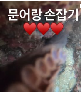 거제 문어 택배 주문