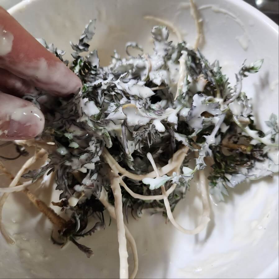 냉이 무침 냉이나물 냉이 튀김 만드는 방법 봄철 나물 요리 레시피