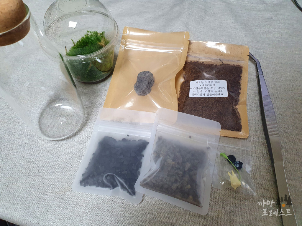 테라리움 준비물