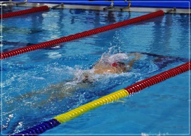 고성군수배-전국-마스터즈-수영대회-27