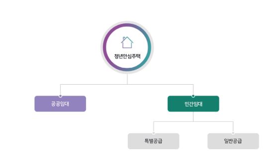 청년 안심 주택의 주요 내용