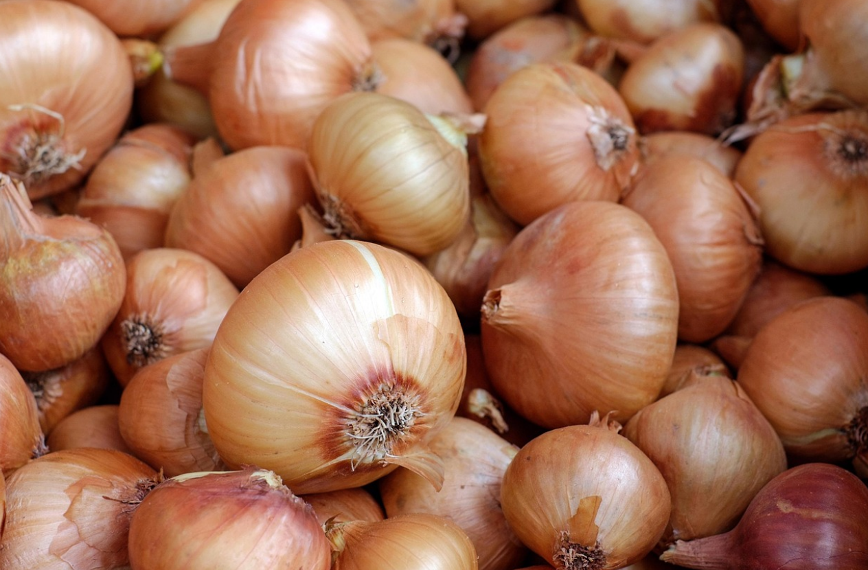 고혈압 환자를 위한 혈관 건강 음식 양파