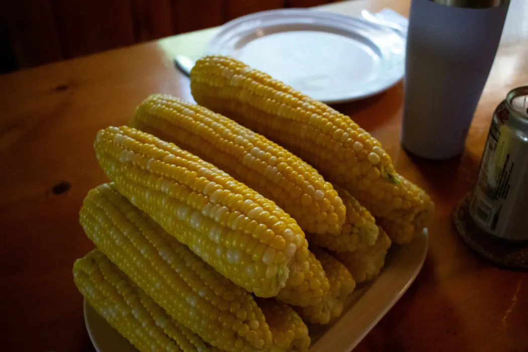 노랑-옥수수-사진