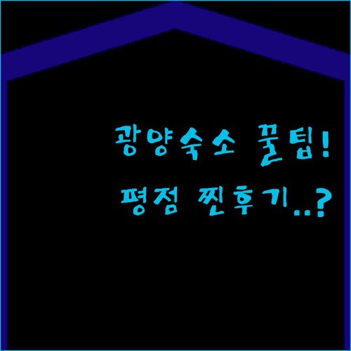 광양 여행 숙박 시설 비교 및 투숙객..