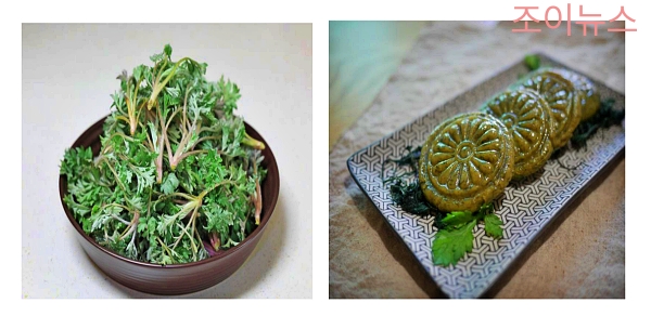 쑥의 특징과 섭취방법