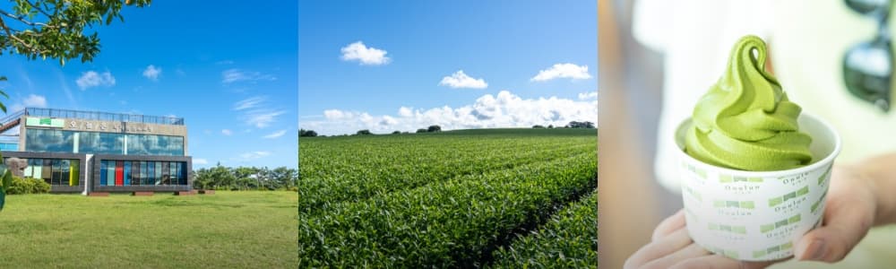 생생정보통 오늘방송(3월 11일) 제주 두모리에피싱샵,성읍민속마을,늘은녹차한잔,사월의꿩,비케이브