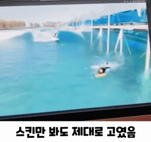 움짤