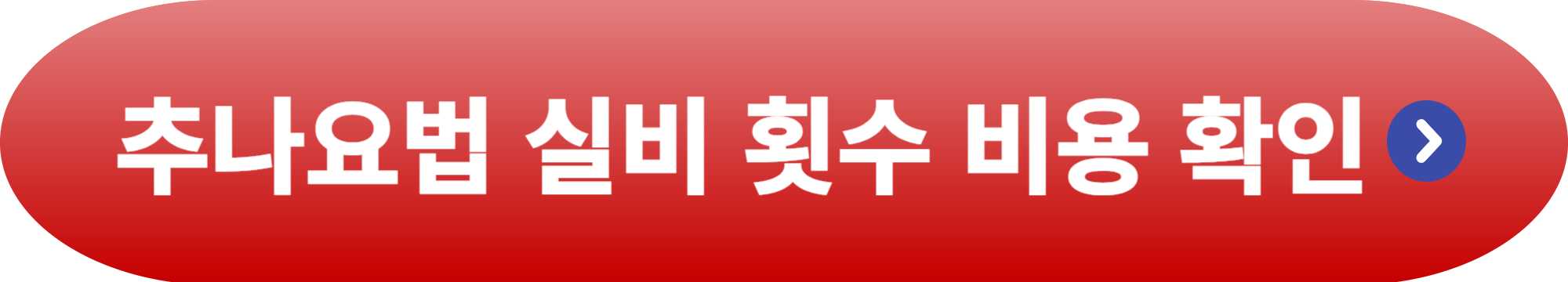 추나요법 실비