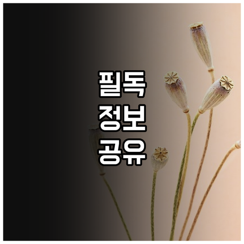 2025 대덕구 산모 50만원 지원 ..